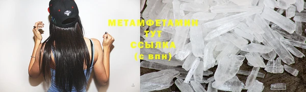 прущие грибы Богданович