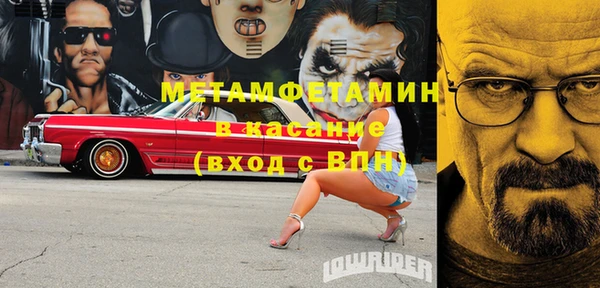 прущие грибы Богданович