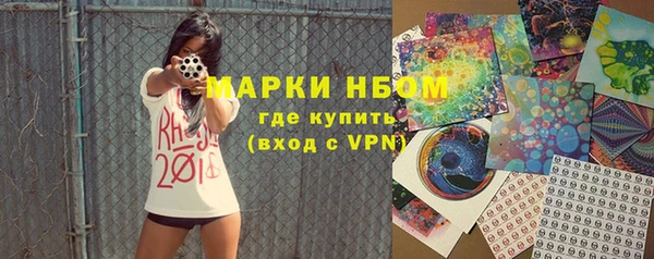 прущие грибы Богданович