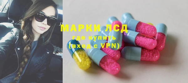 PSILOCYBIN Валдай