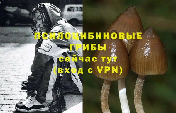 мескалин Бородино