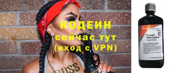 прущие грибы Богданович