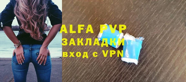 прущие грибы Богданович
