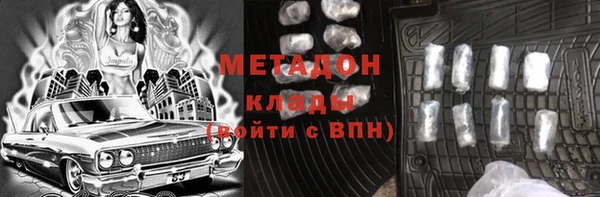 прущие грибы Богданович
