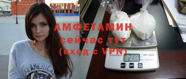 прущие грибы Богданович
