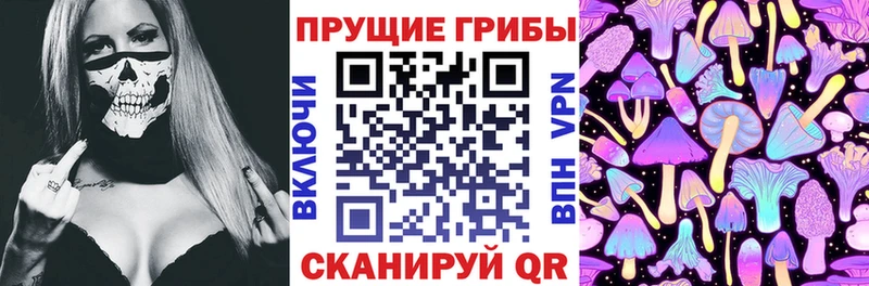 Псилоцибиновые грибы Psilocybe  закладки  Волосово 